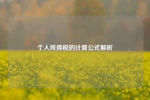 个人所得税的计算公式解析