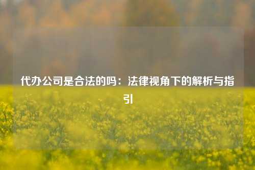 代办公司是合法的吗:法律视角下的解析与指引