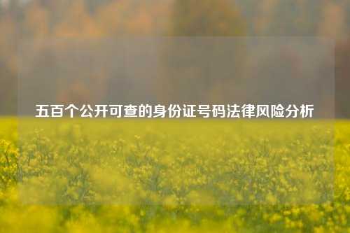五百个公开可查的身份证号码法律风险分析