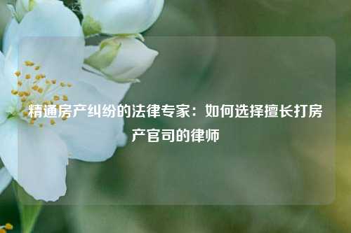 精通房产纠纷的法律专家：如何选择擅长打房产官司的律师
