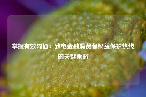 掌握有效沟通：致电金融消费者权益保护热线的关键策略