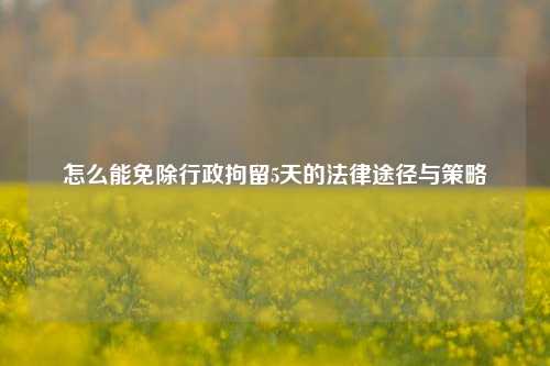 怎么能免除行政拘留5天的法律途径与策略