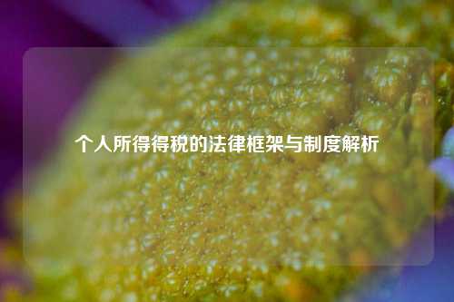 个人所得得税的法律框架与制度解析