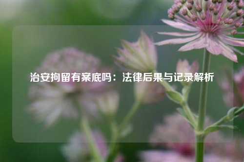 治安拘留有案底吗：法律后果与记录解析