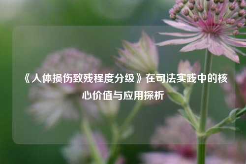 《人体损伤致残程度分级》在司法实践中的核心价值与应用探析