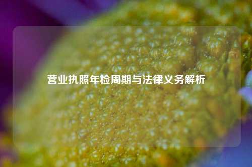 营业执照年检周期与法律义务解析
