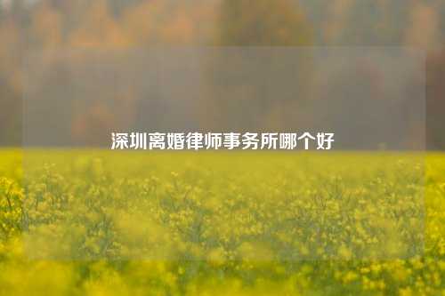 深圳离婚律师事务所哪个好