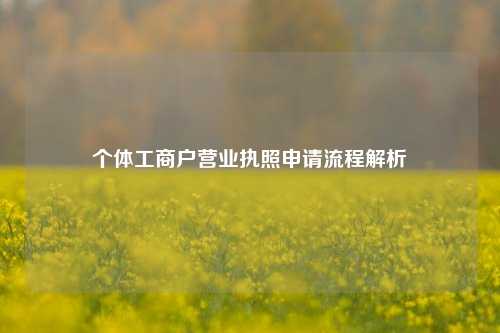 个体工商户营业执照申请流程解析