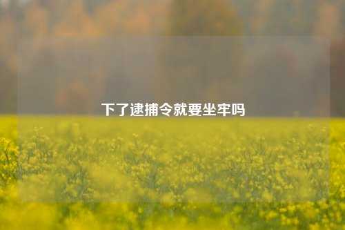 下了逮捕令就要坐牢吗