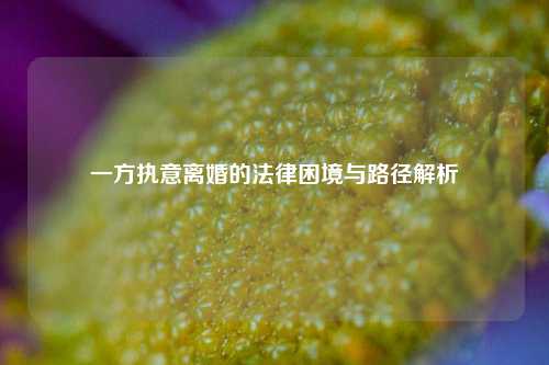 一方执意离婚的法律困境与路径解析