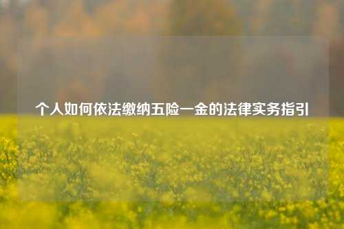 个人如何依法缴纳五险一金的法律实务指引