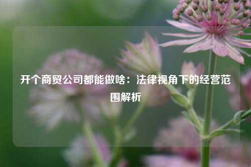 开个商贸公司都能做啥：法律视角下的经营范围解析