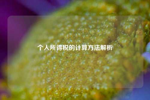 个人所得税的计算方法解析