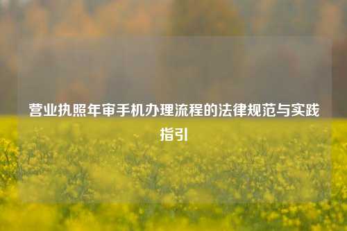 营业执照年审手机办理流程的法律规范与实践指引