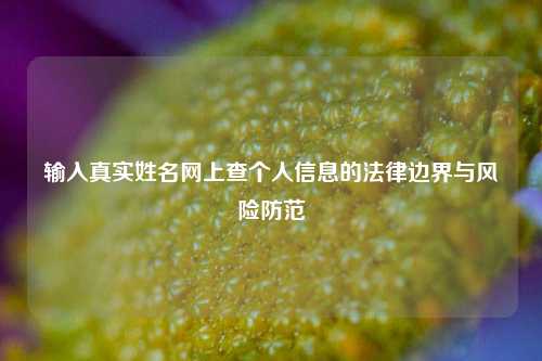 输入真实姓名网上查个人信息的法律边界与风险防范
