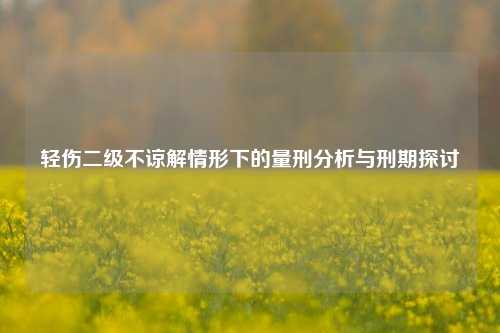 轻伤二级不谅解情形下的量刑分析与刑期探讨