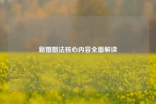 新婚姻法核心内容全面解读