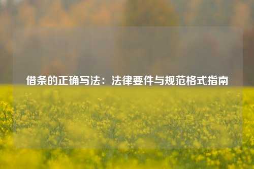 借条的正确写法：法律要件与规范格式指南