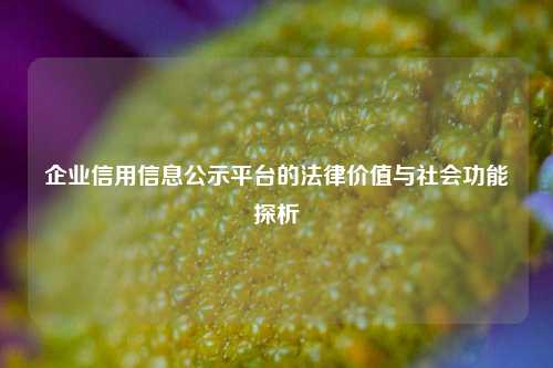 企业信用信息公示平台的法律价值与社会功能探析