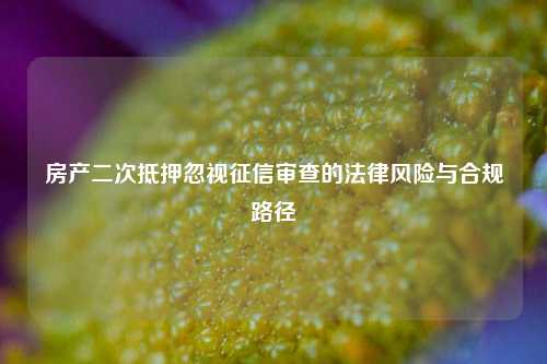 房产二次抵押忽视征信审查的法律风险与合规路径