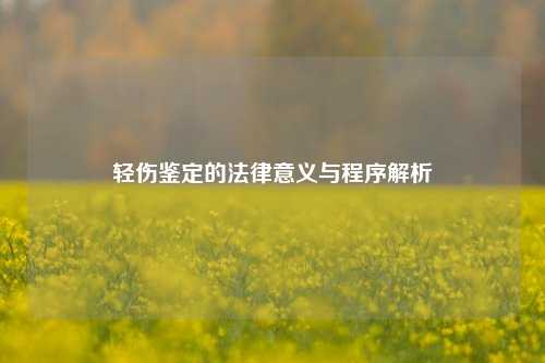 轻伤鉴定的法律意义与程序解析